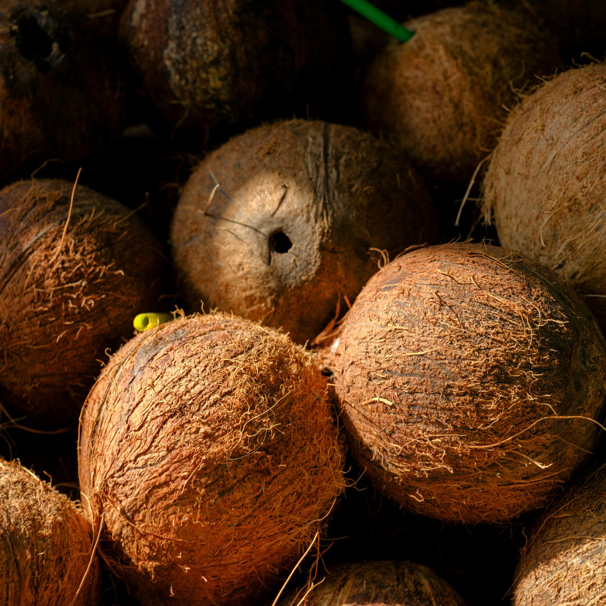 Fresh coconuts representing island-sourced ingredients used in natural bath and body care rituals in Maui